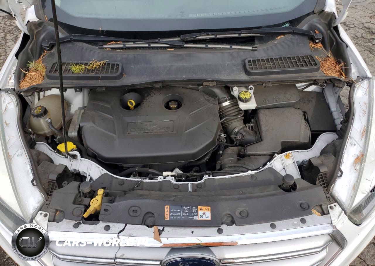 2017 Ford Escape Se VIN:1FMCU0G97HUC97063 - 12