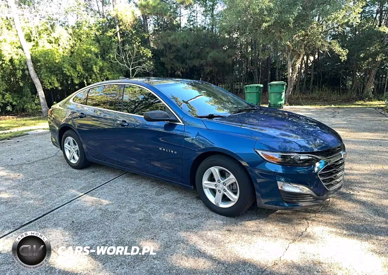 2019 CHEVROLET MALIBU LS