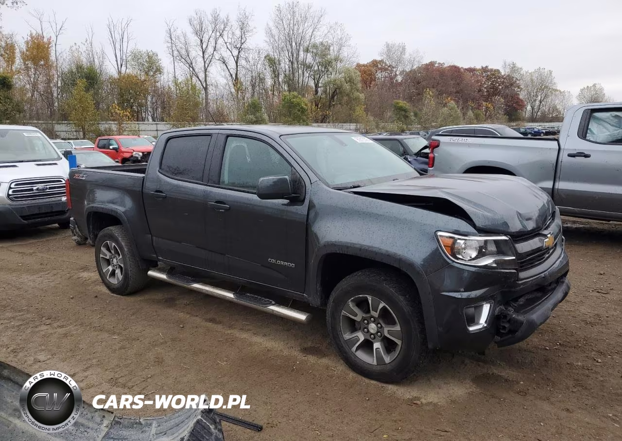 2016 Chevrolet Colorado Z71 VIN:1GCGTDE37G1265504 - 4