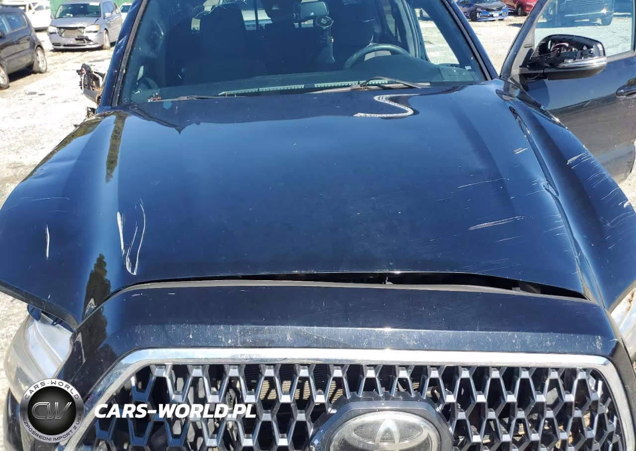 2019 Toyota Tacoma VIN:3TMCZ5ANXKM212012 - 11