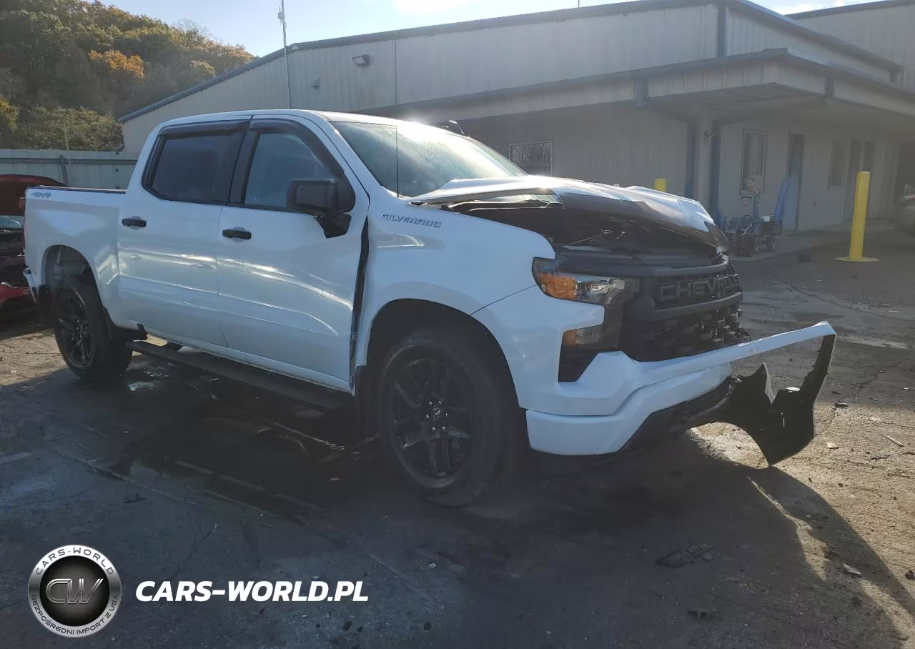2022 Chevrolet Silverado K1500 Custom VIN:1GCPDBEK5NZ554629 - 4