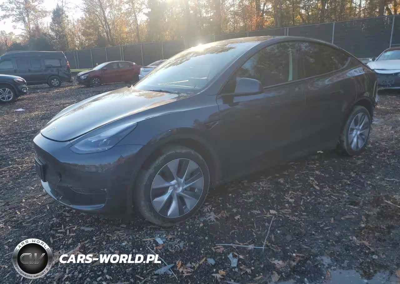 2024 Tesla Model Y