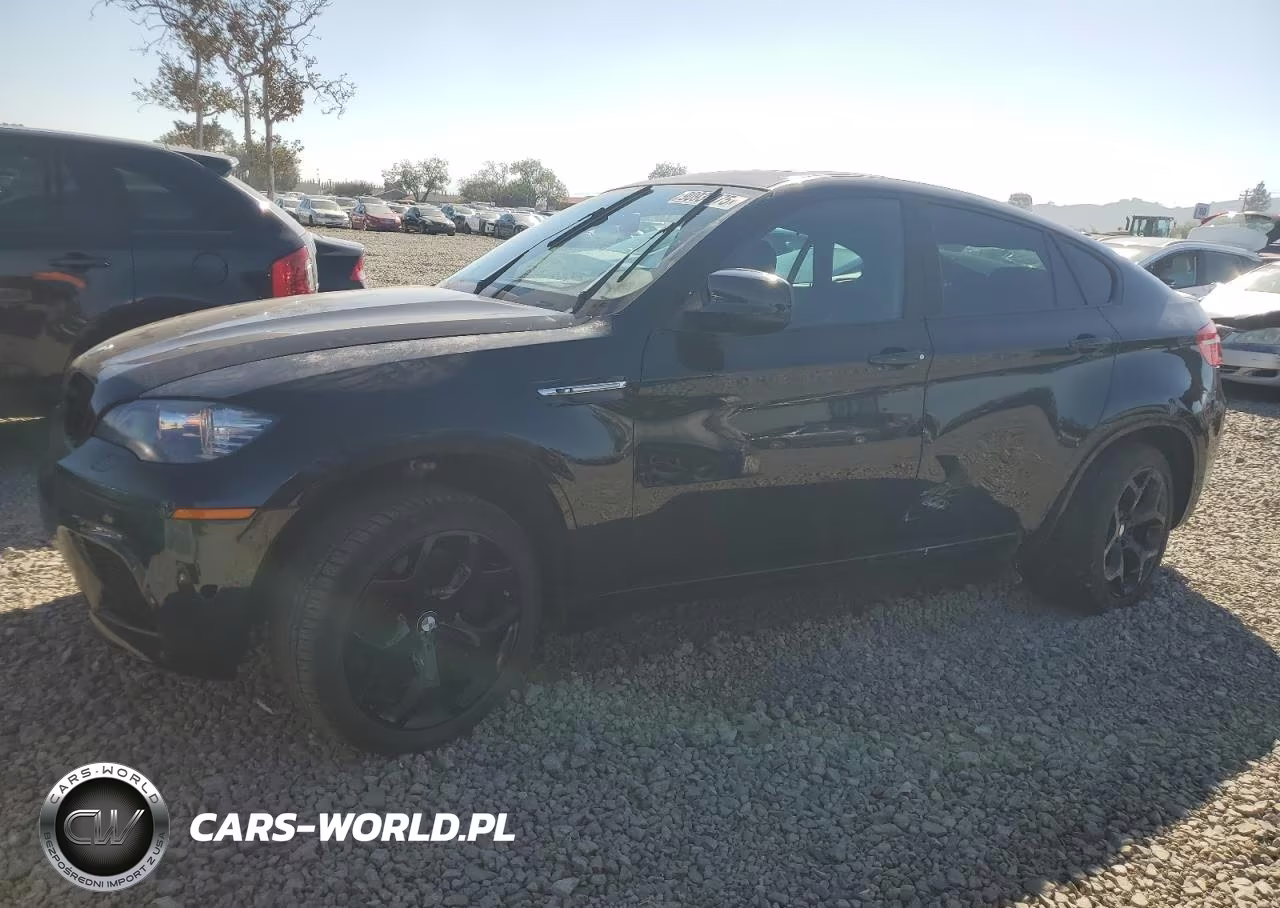 2012 BMW X6 M