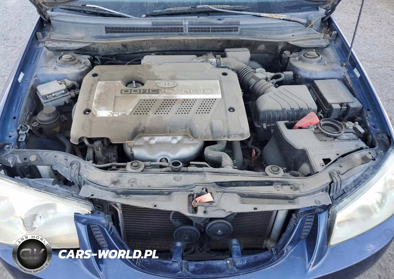 2004 Kia Spectra Lx VIN:KNAFE122745052456 - 11