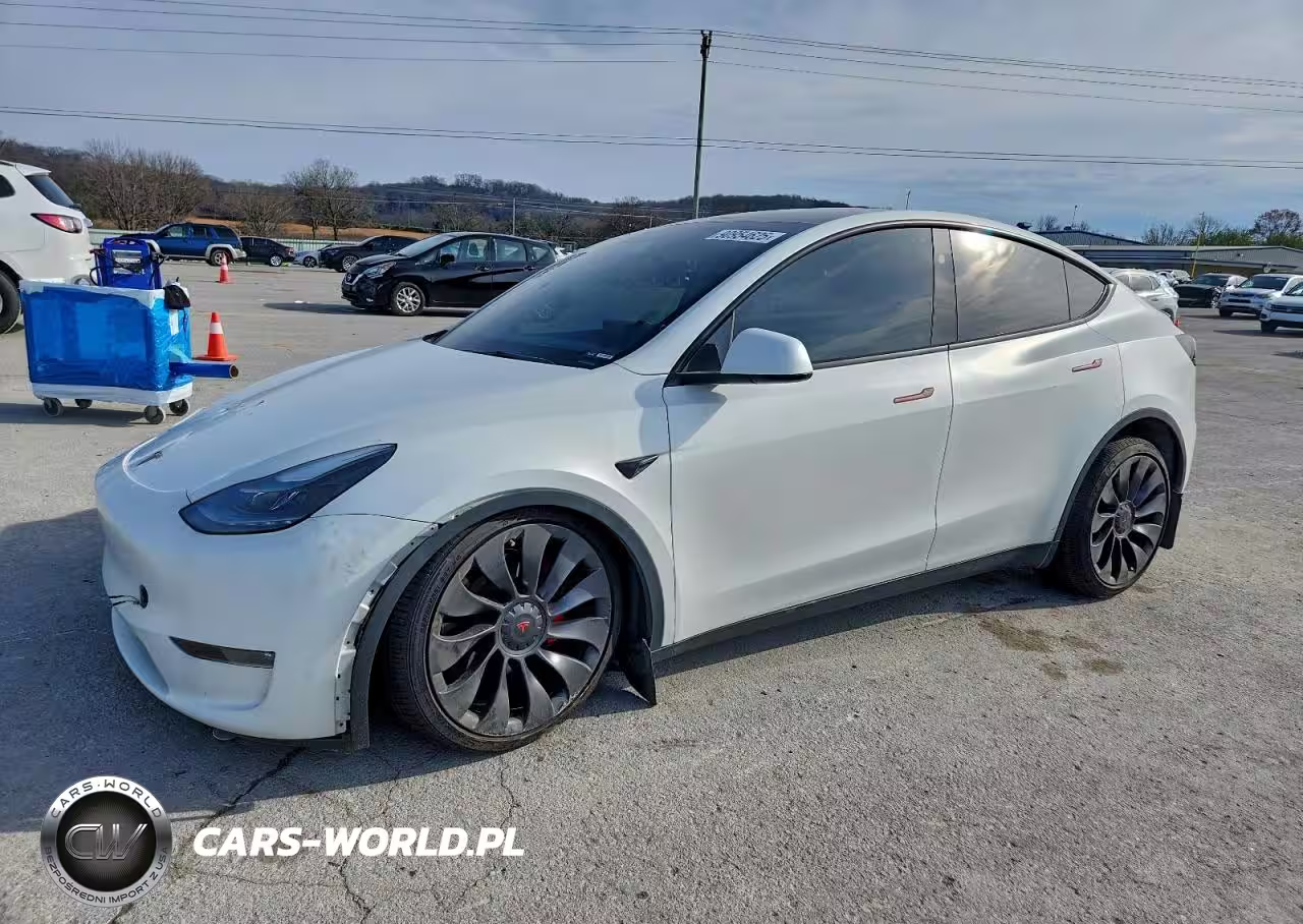 2023 Tesla Model Y