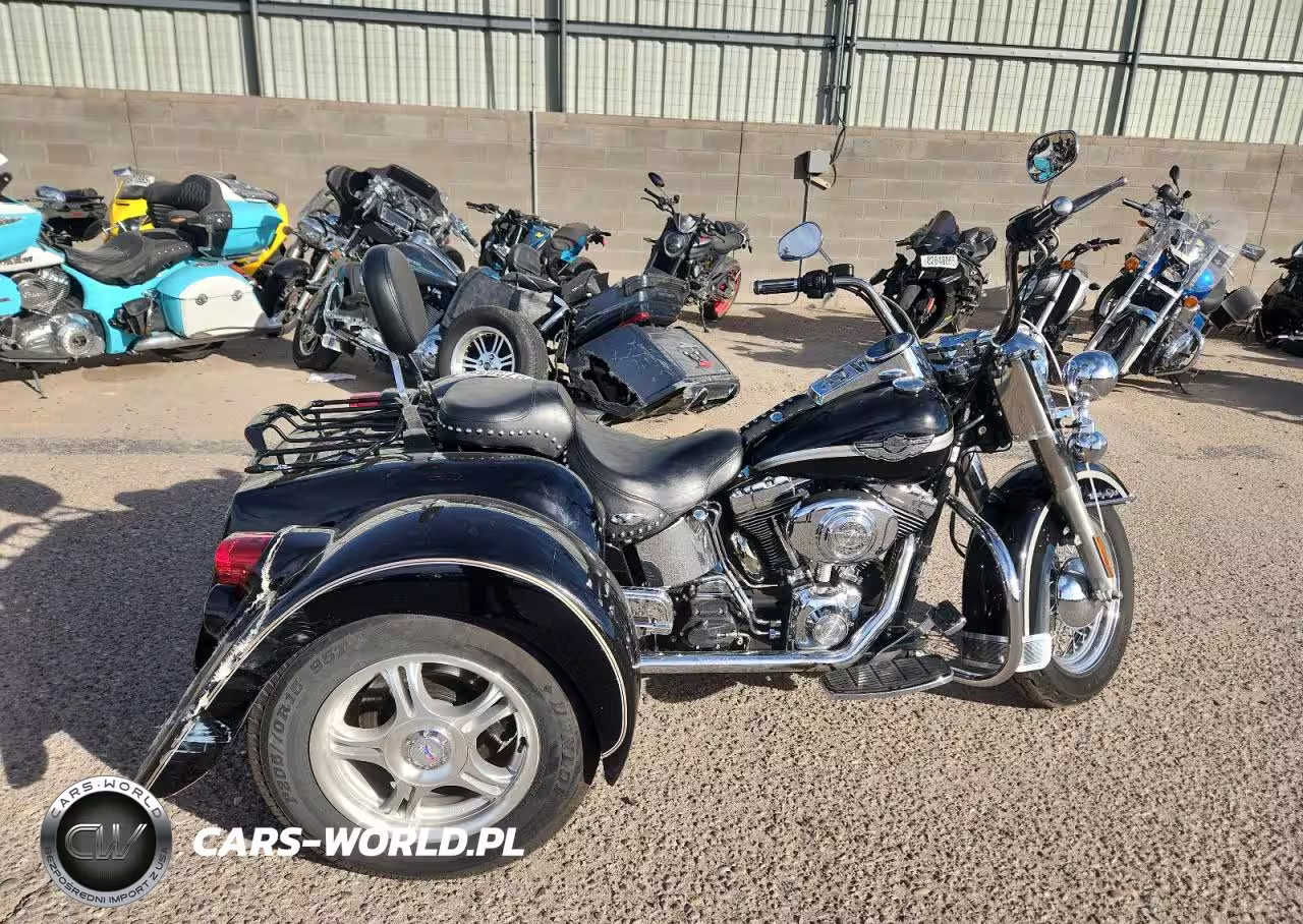 2003 Harley-Davidson Flstci