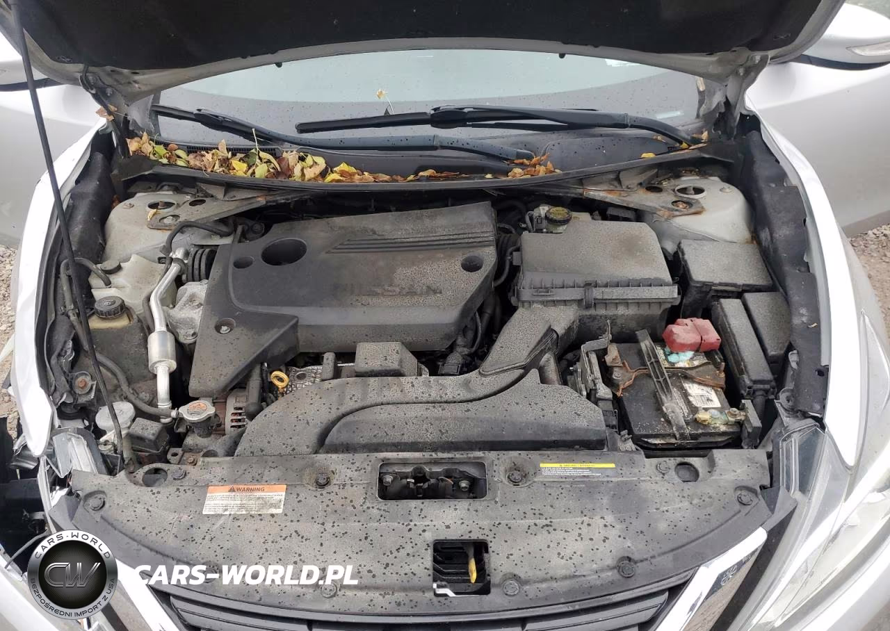 2017 Nissan Altima VIN:1N4AL3AP5HC291930 - 11