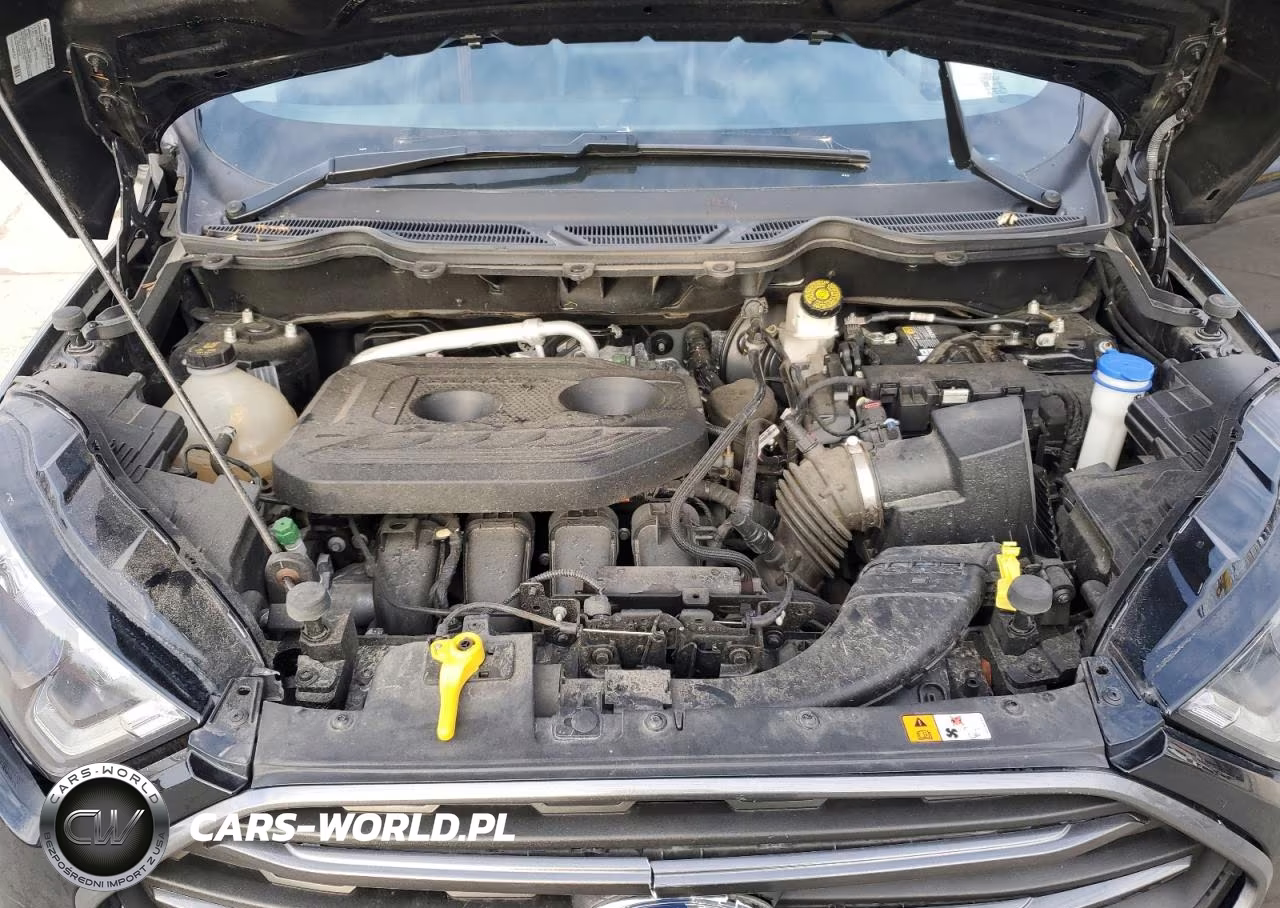 2018 Ford Ecosport Ses VIN:MAJ6P1CL7JC231145 - 12