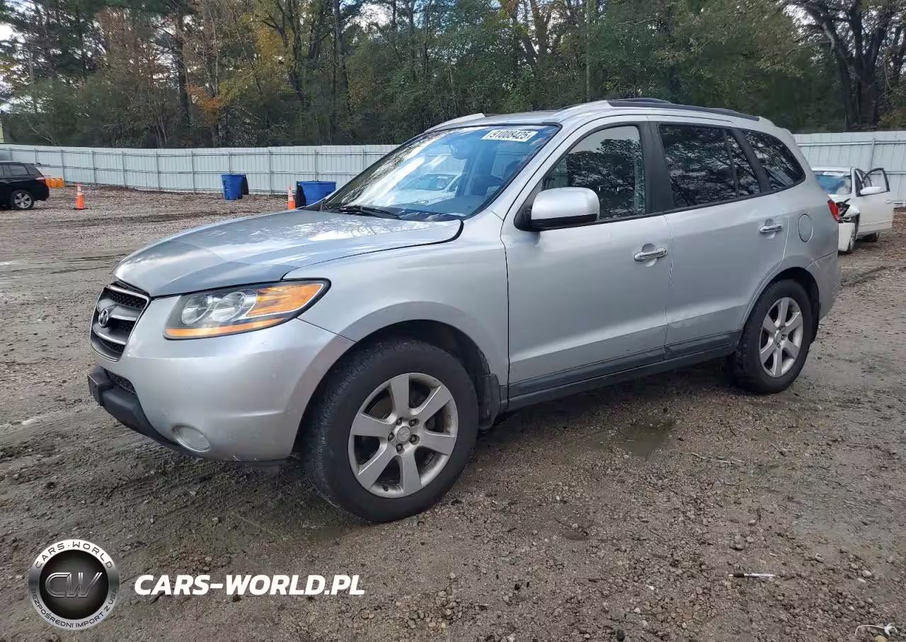 2009 Hyundai Santa Fe Se