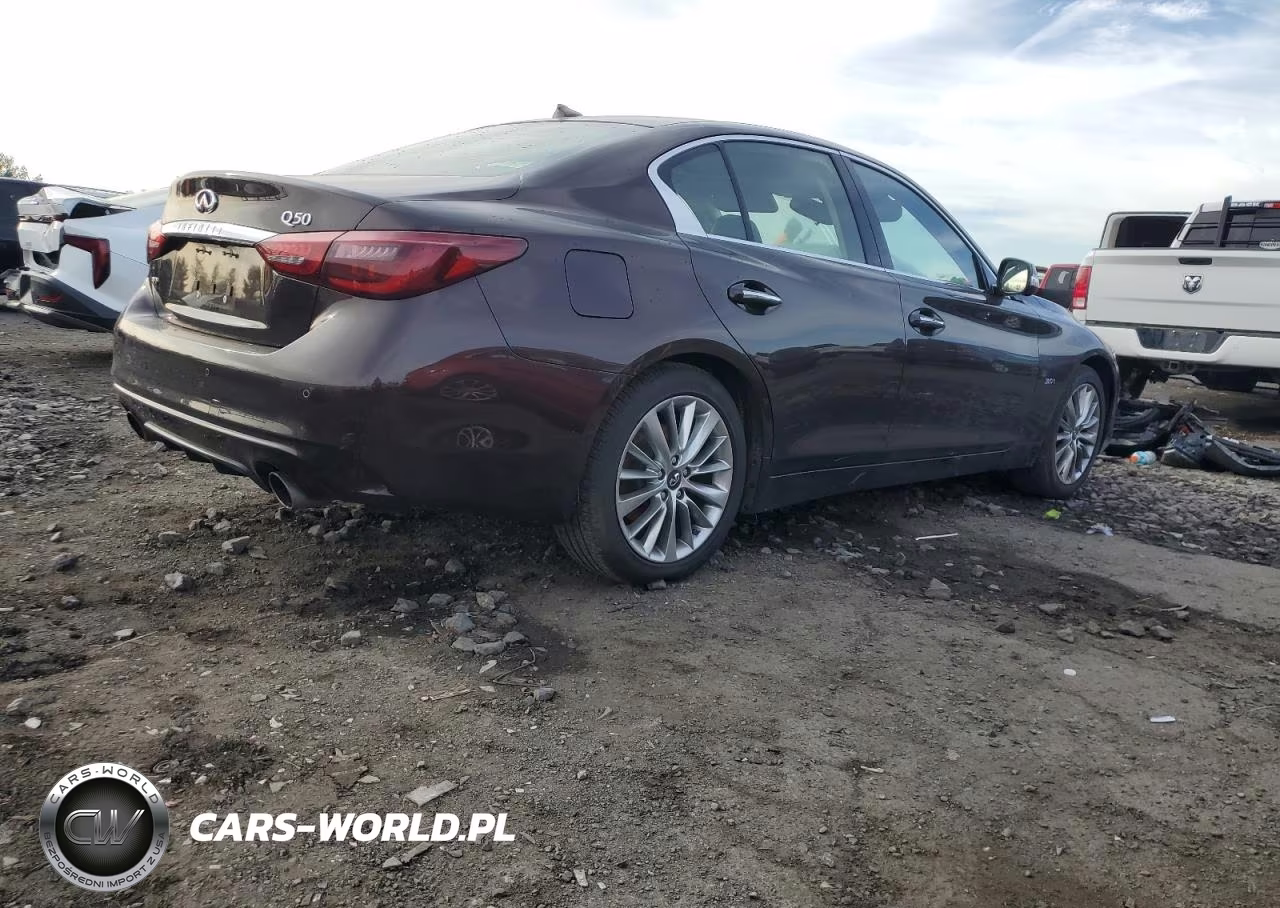 2019 Infiniti Q50 Luxe VIN:JN1EV7ARXKM557655 - 3