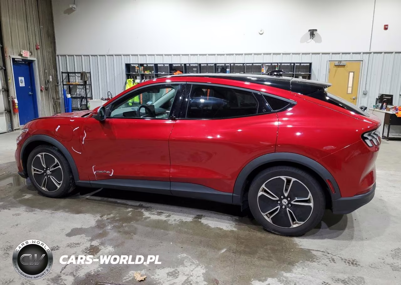 2021 Ford Mustang Mach-E Select VIN:3FMTK1SS7MMA36455 - 2