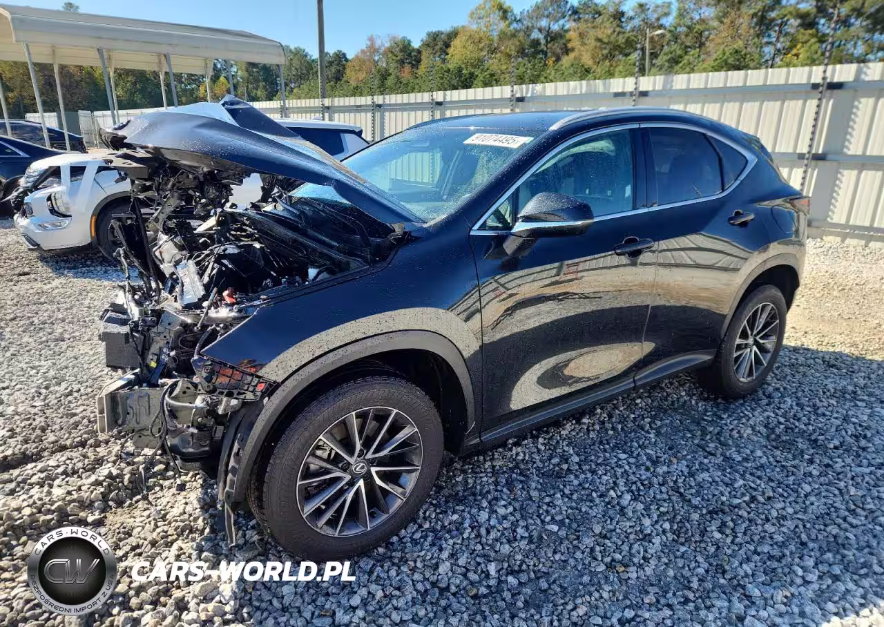 2024 Lexus Nx 250 Base