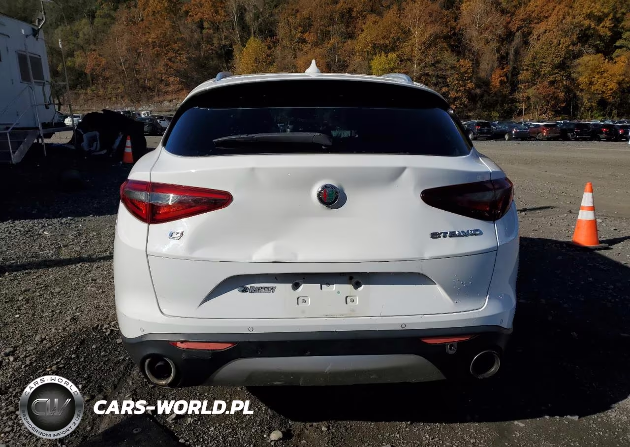 2018 Alfa Romeo Stelvio VIN:ZASFAKAN5J7B73705 - 6