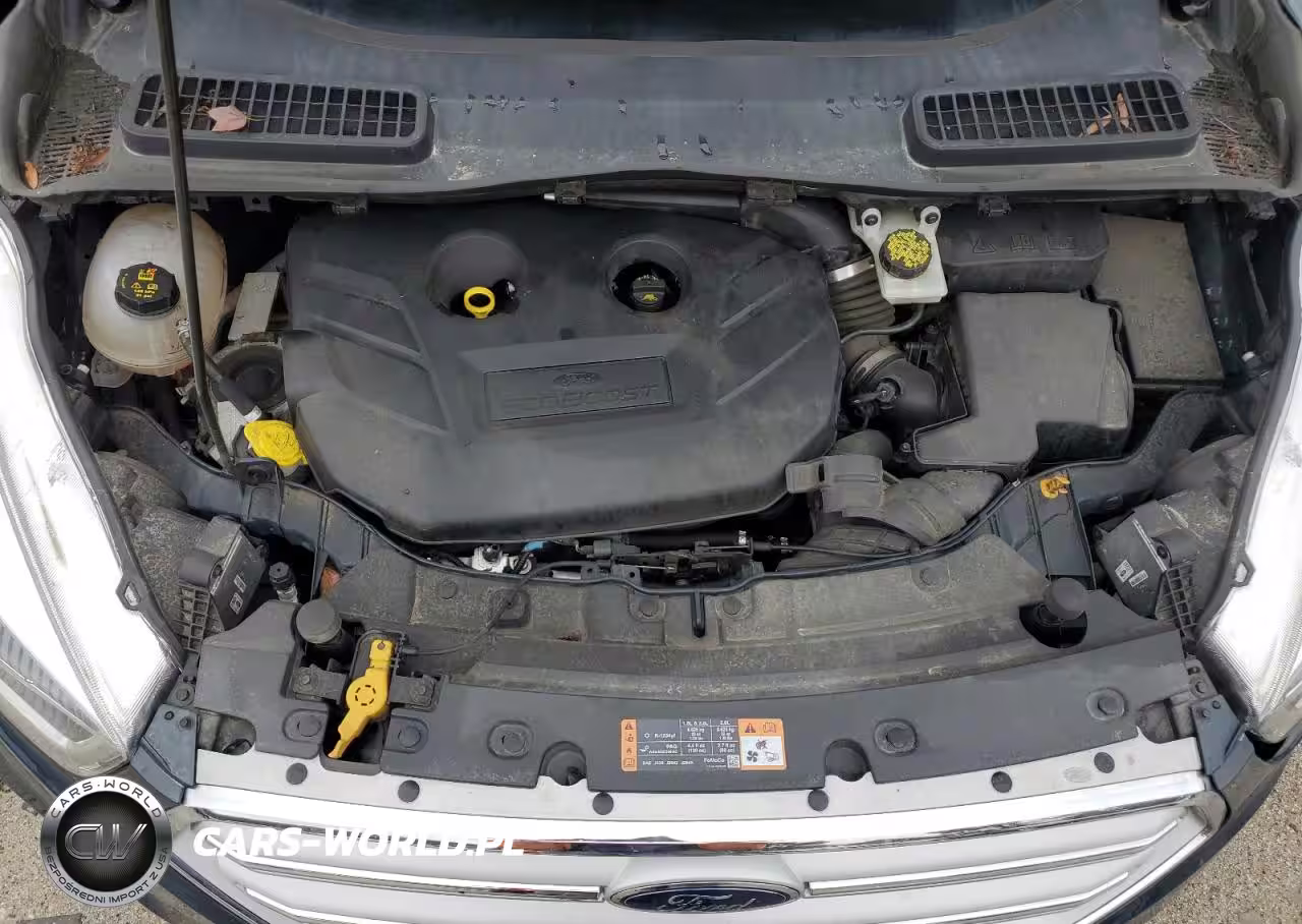 2019 Ford Escape Titanium VIN:1FMCU9J9XKUA02364 - 12