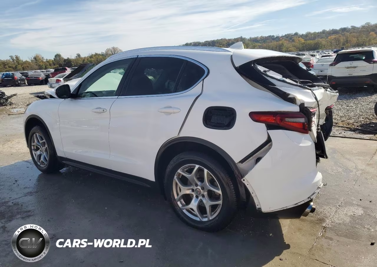 2018 Alfa Romeo Stelvio VIN:ZASFAKAN1J7C19353 - 2