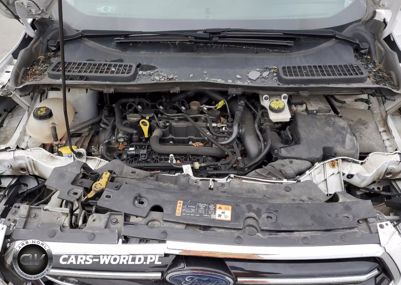 2019 Ford Escape Se VIN:1FMCU0GD0KUA84175 - 12