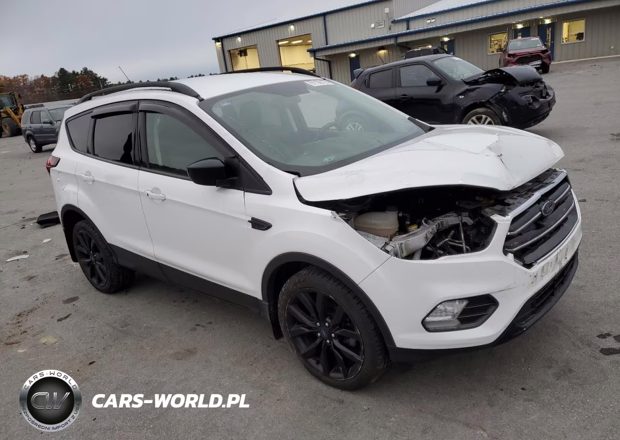 2019 Ford Escape Se VIN:1FMCU0GD0KUA84175 - 4