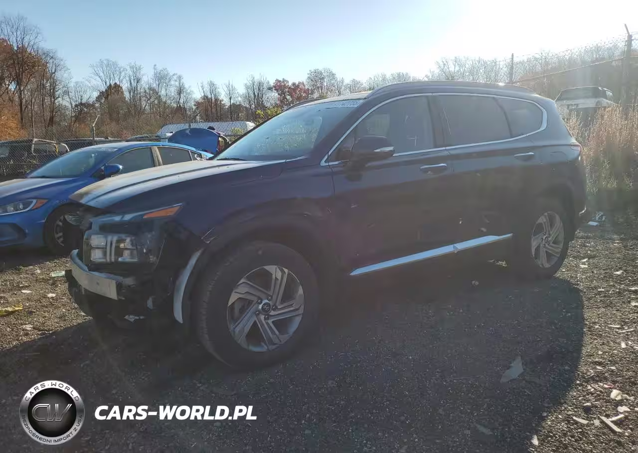 2023 Hyundai Santa Fe Sel Premium