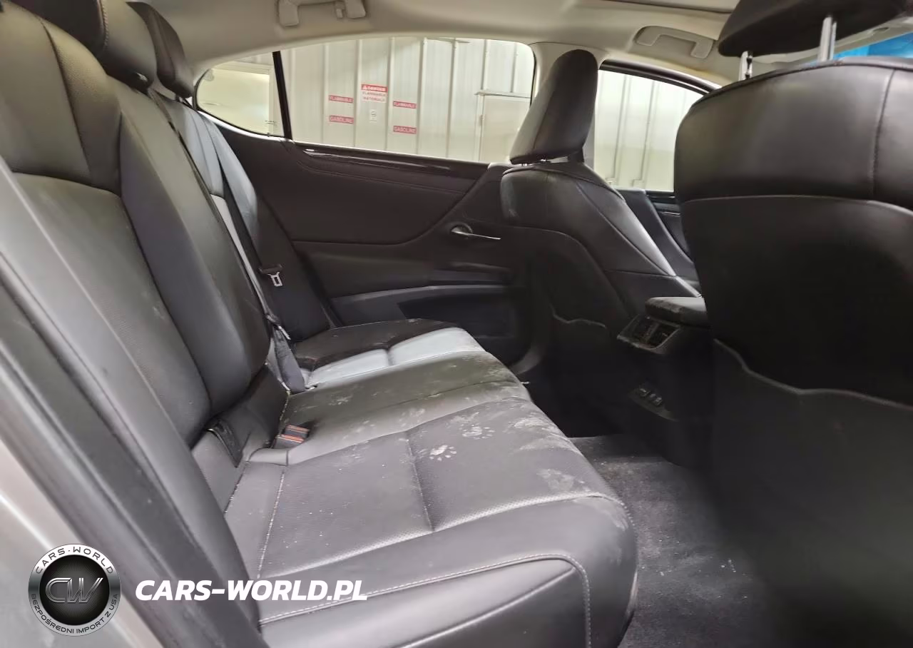 2021 Lexus Es 250 Base VIN:58AD11D11MU003600 - 10