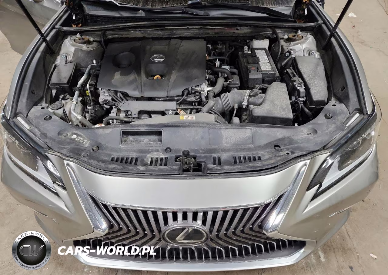 2021 Lexus Es 250 Base VIN:58AD11D11MU003600 - 11