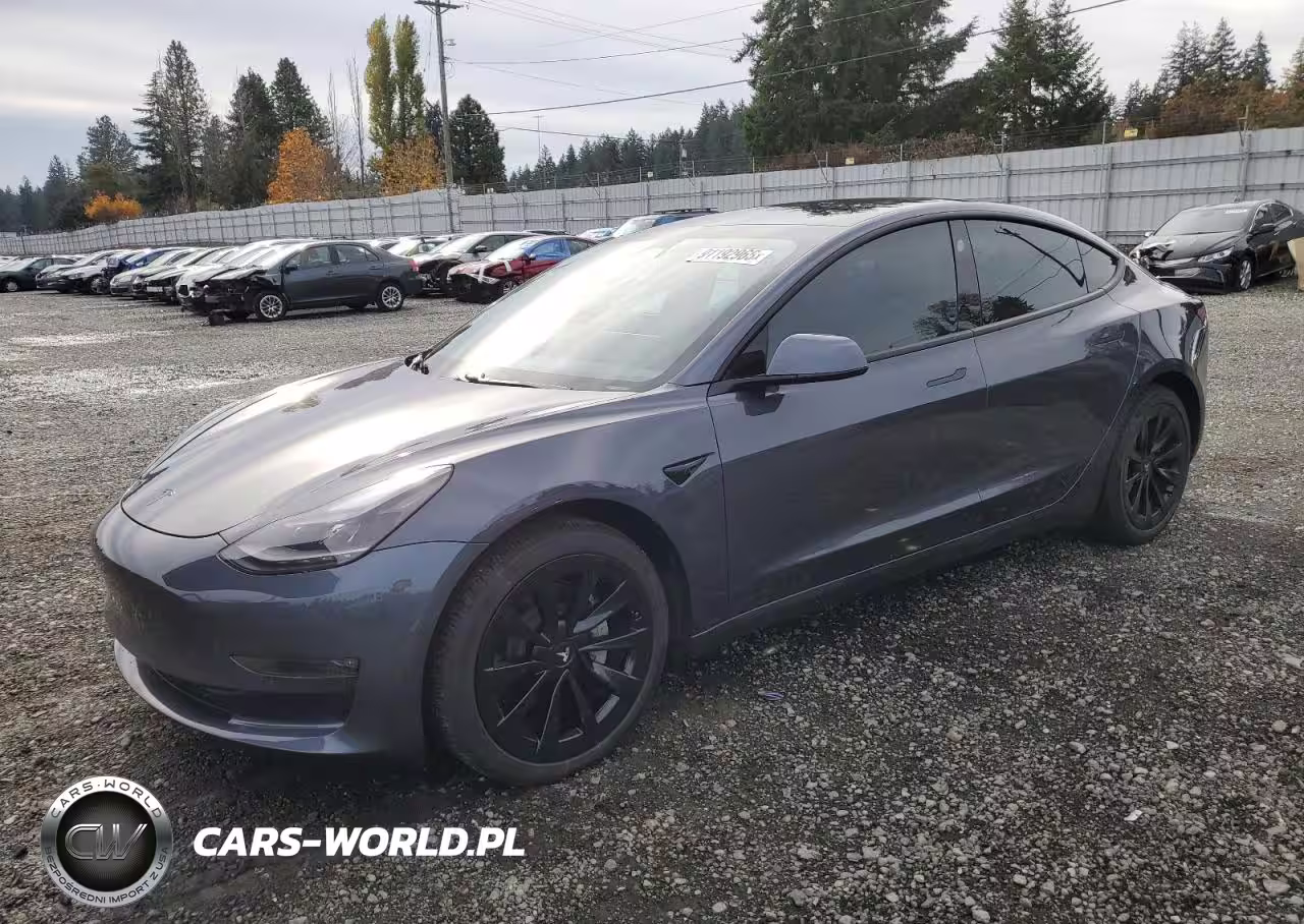 2021 Tesla Model 3