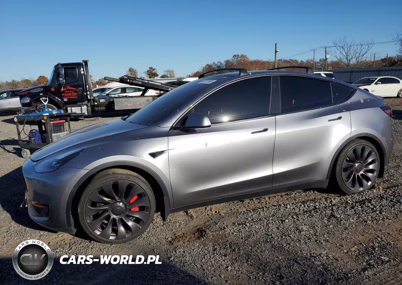 2024 Tesla Model Y