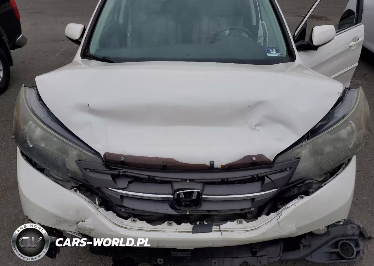 2014 Honda Cr-V Exl VIN:5J6RM4H79EL118486 - 11