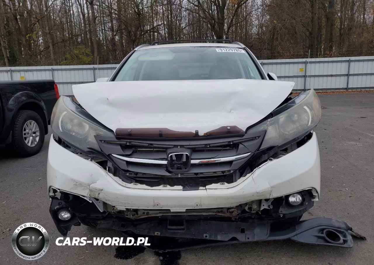 2014 Honda Cr-V Exl VIN:5J6RM4H79EL118486 - 5