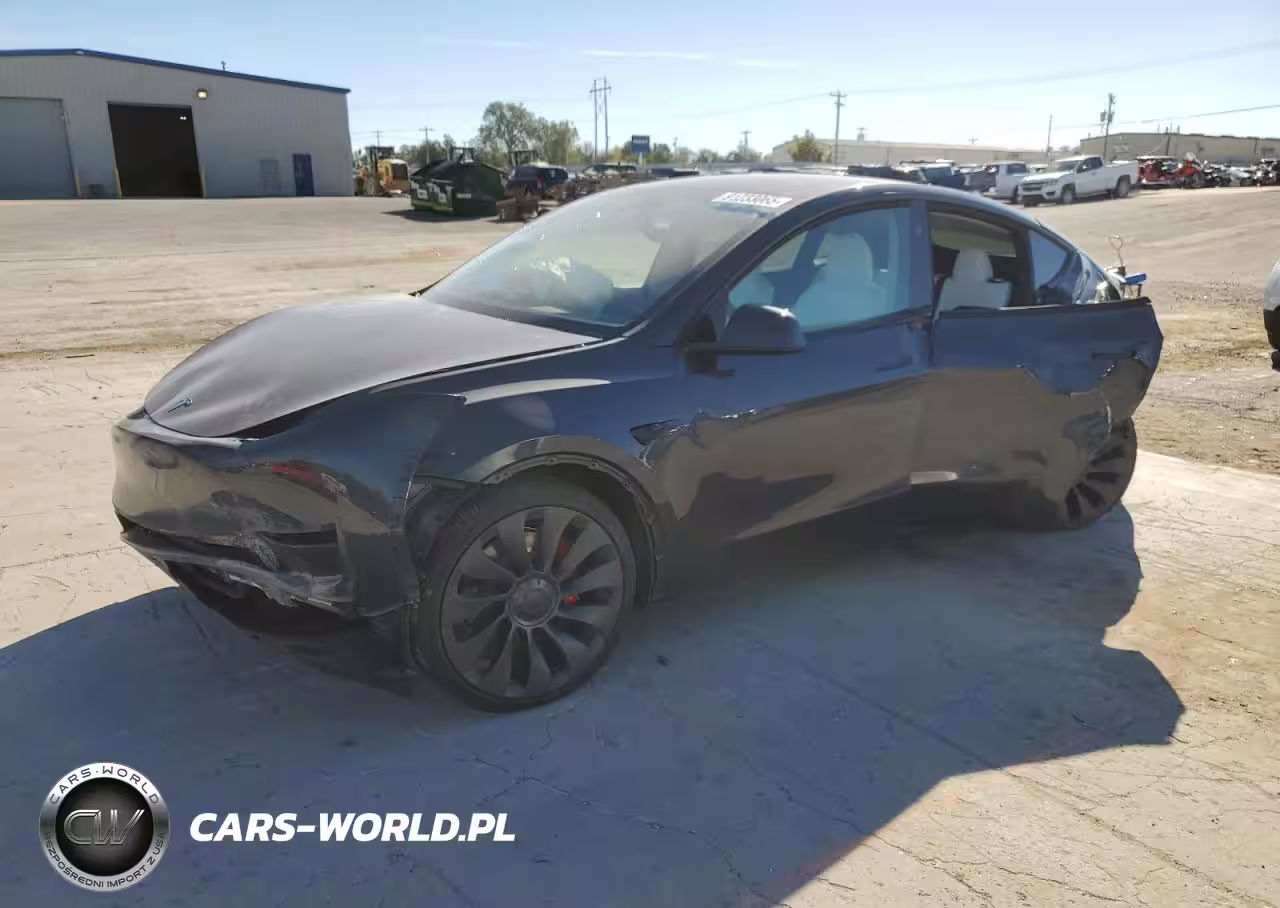 2024 Tesla Model Y