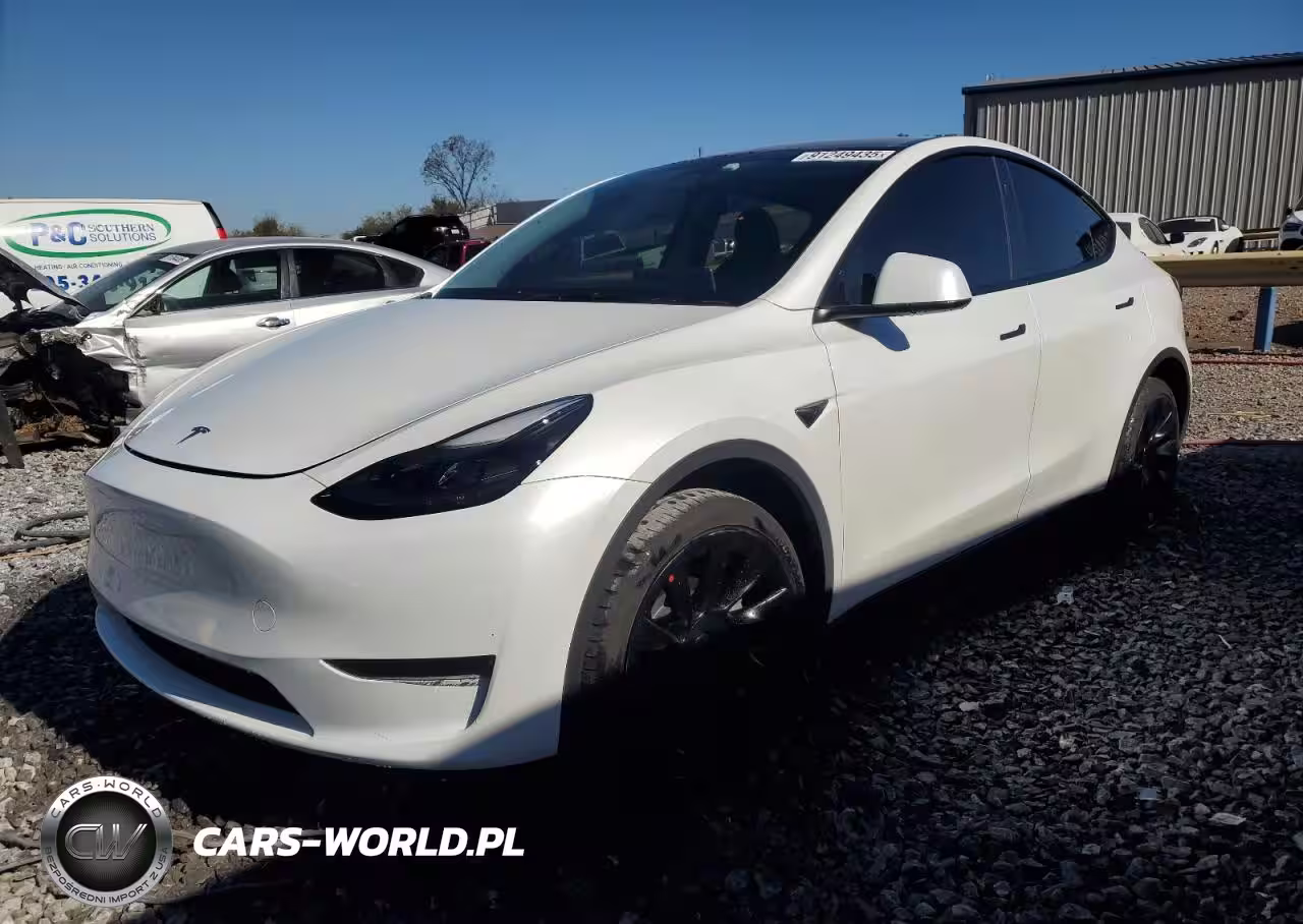 2024 Tesla Model Y