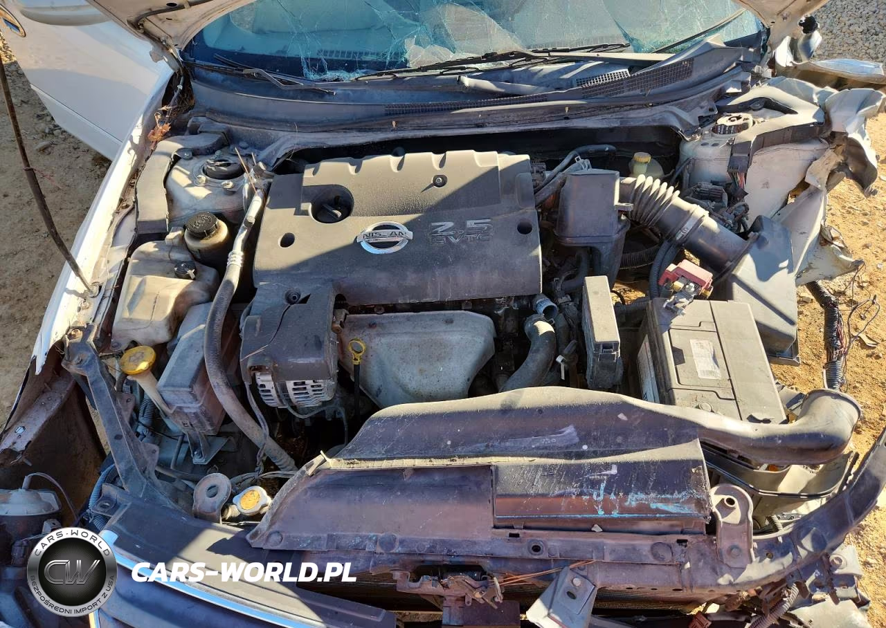 2004 Nissan Altima Base VIN:1N4AL11D84C100425 - 11