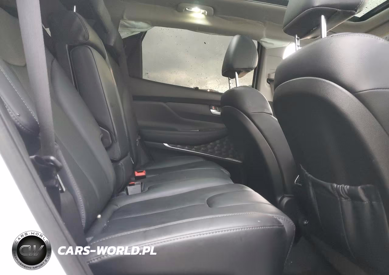2023 Hyundai Santa Fe Sel Premium VIN:5NMS3DAJ8PH619535 - 11