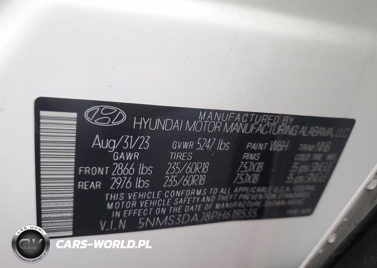 2023 Hyundai Santa Fe Sel Premium VIN:5NMS3DAJ8PH619535 - 13