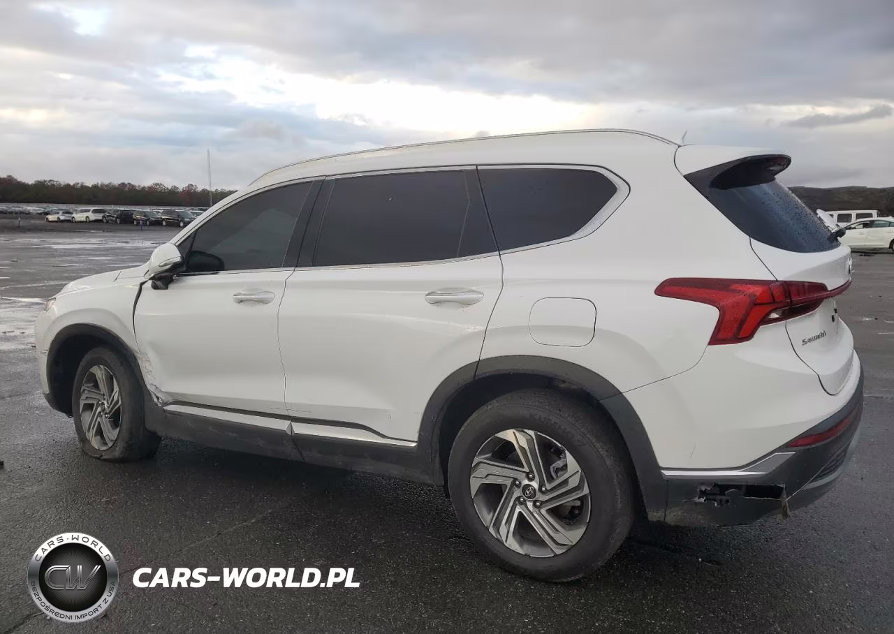 2023 Hyundai Santa Fe Sel Premium VIN:5NMS3DAJ8PH619535 - 2