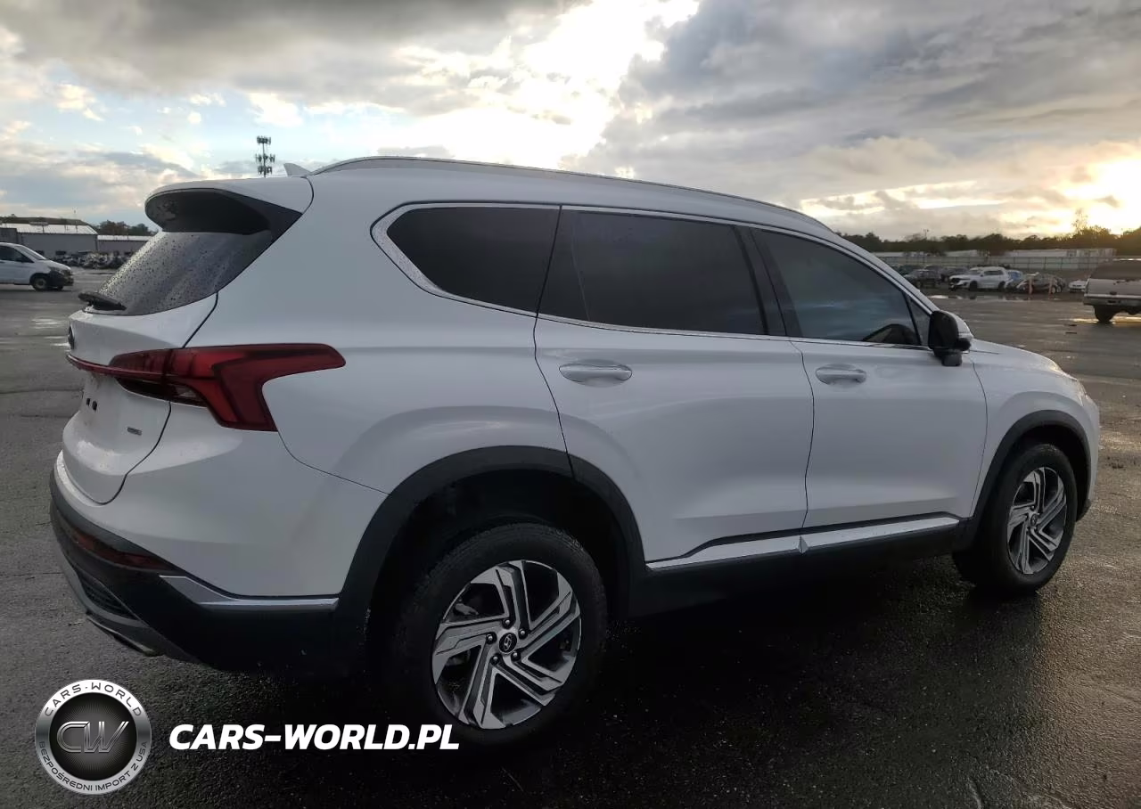 2023 Hyundai Santa Fe Sel Premium VIN:5NMS3DAJ8PH619535 - 3