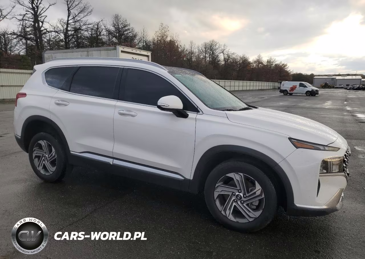 2023 Hyundai Santa Fe Sel Premium VIN:5NMS3DAJ8PH619535 - 4