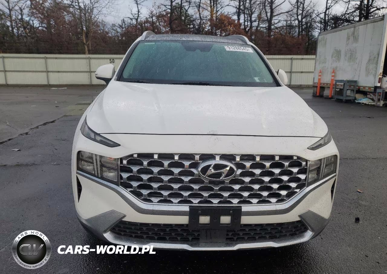 2023 Hyundai Santa Fe Sel Premium VIN:5NMS3DAJ8PH619535 - 5