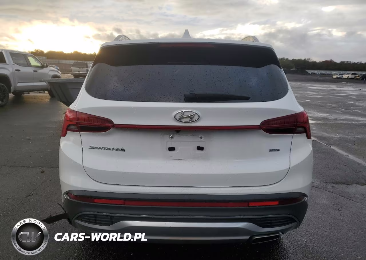2023 Hyundai Santa Fe Sel Premium VIN:5NMS3DAJ8PH619535 - 6