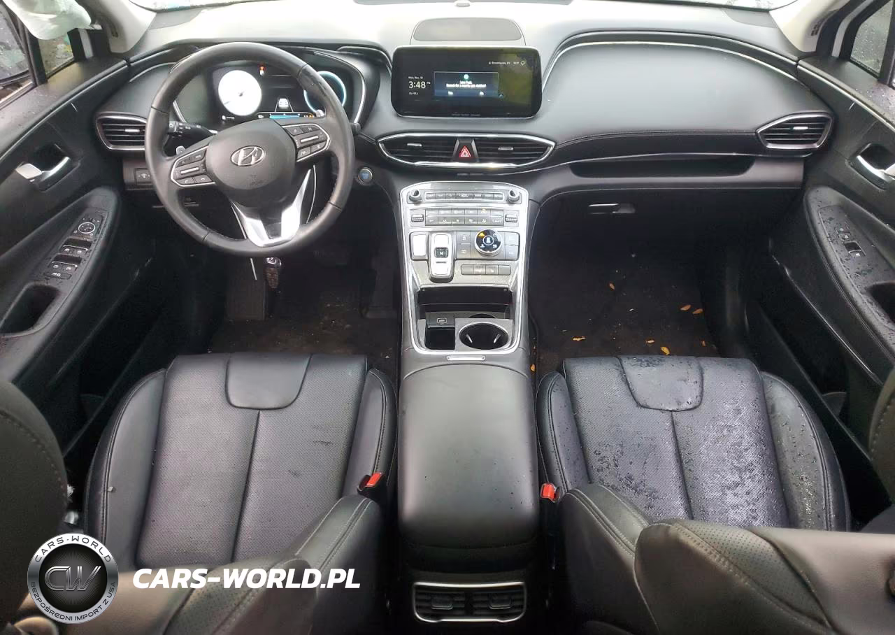 2023 Hyundai Santa Fe Sel Premium VIN:5NMS3DAJ8PH619535 - 8