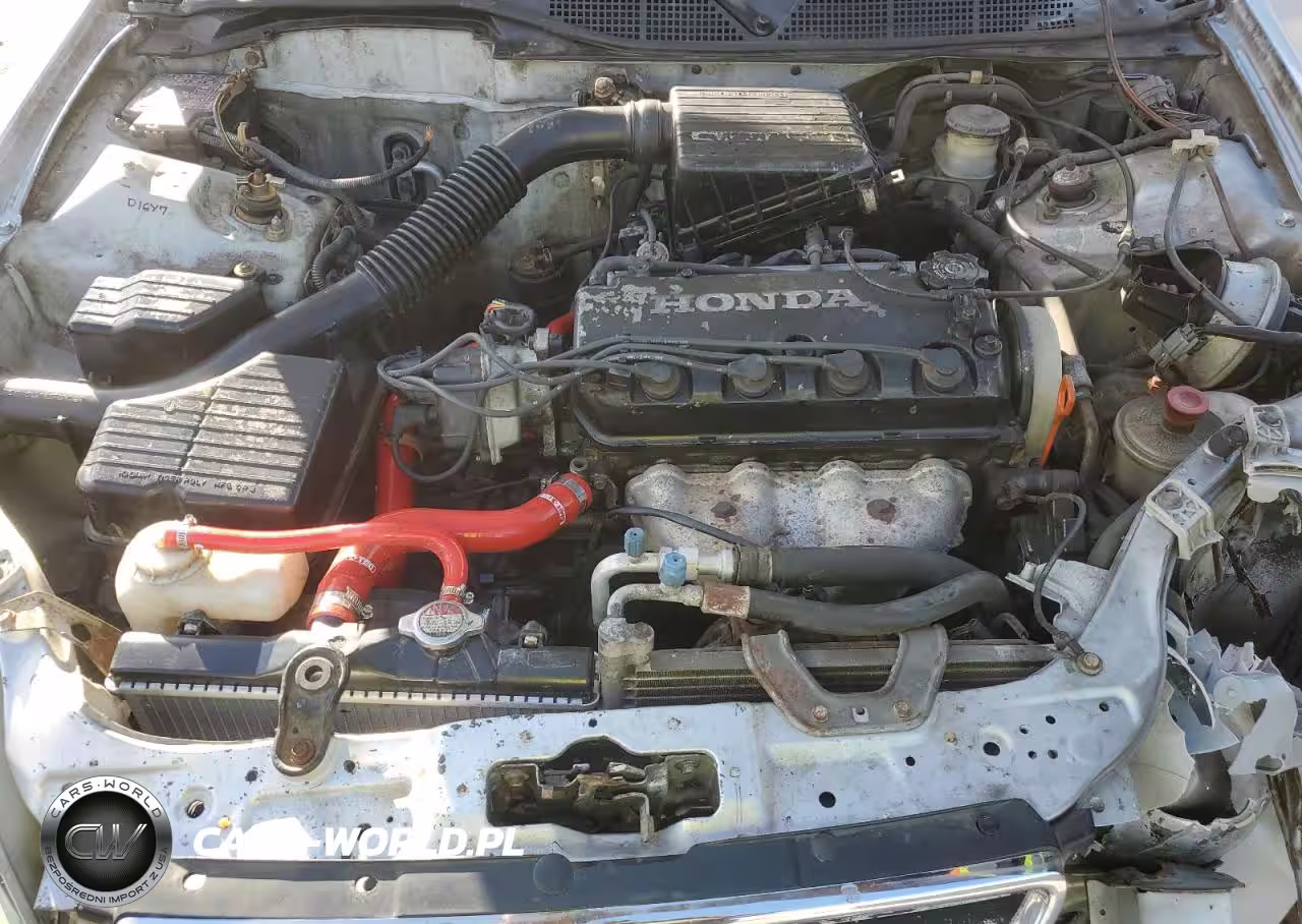 1996 Honda Civic Lx VIN:2HGEJ6679TH521892 - 11