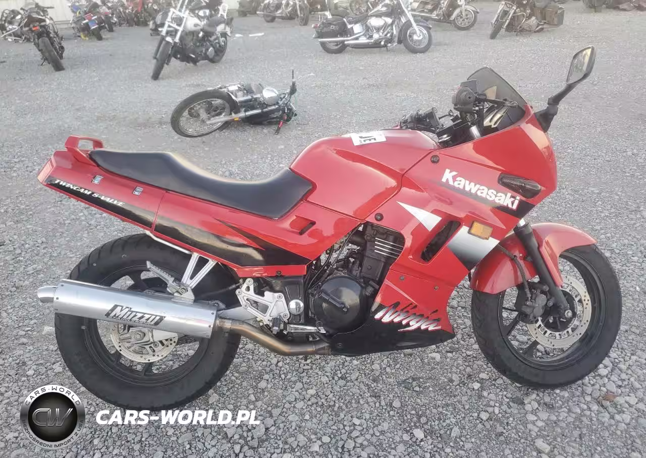 2001 Kawasaki Ex250 F