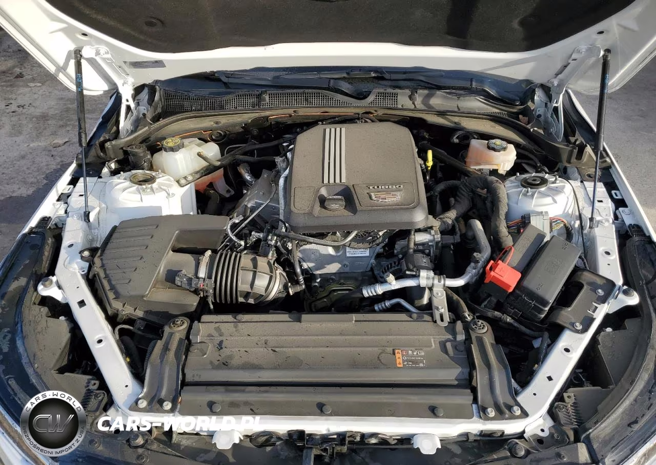 2023 Cadillac Ct4 Luxury VIN:1G6DK5RK7P0104852 - 11