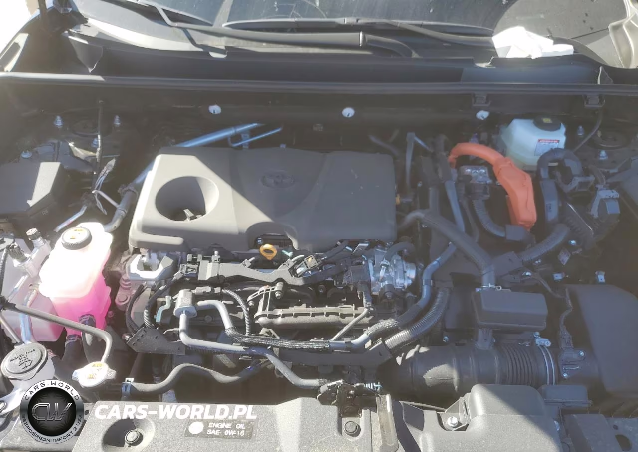 2025 Toyota Rav4 Hybrid Xle VIN:4T3RWRFV2SU197815 - 11