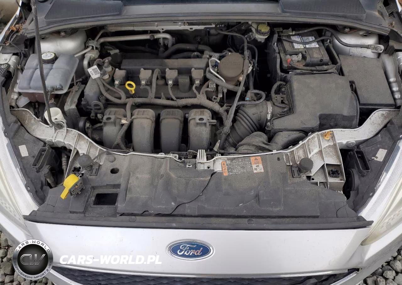 2016 Ford Focus Se VIN:1FADP3K24GL213691 - 11