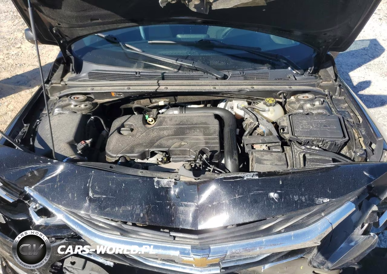 2019 Chevrolet Malibu Lt VIN:1G1ZD5ST0KF111334 - 11