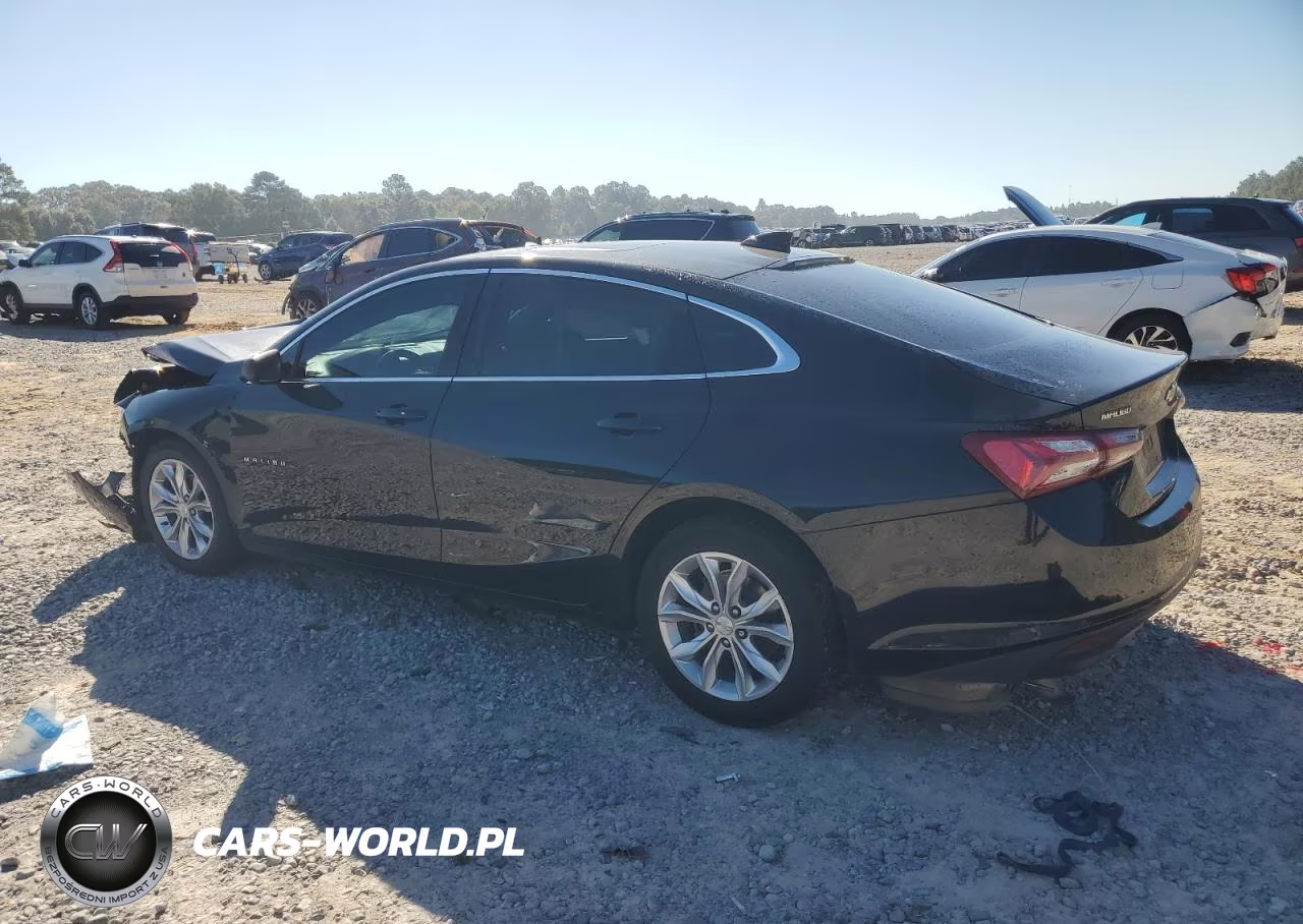 2019 Chevrolet Malibu Lt VIN:1G1ZD5ST0KF111334 - 2