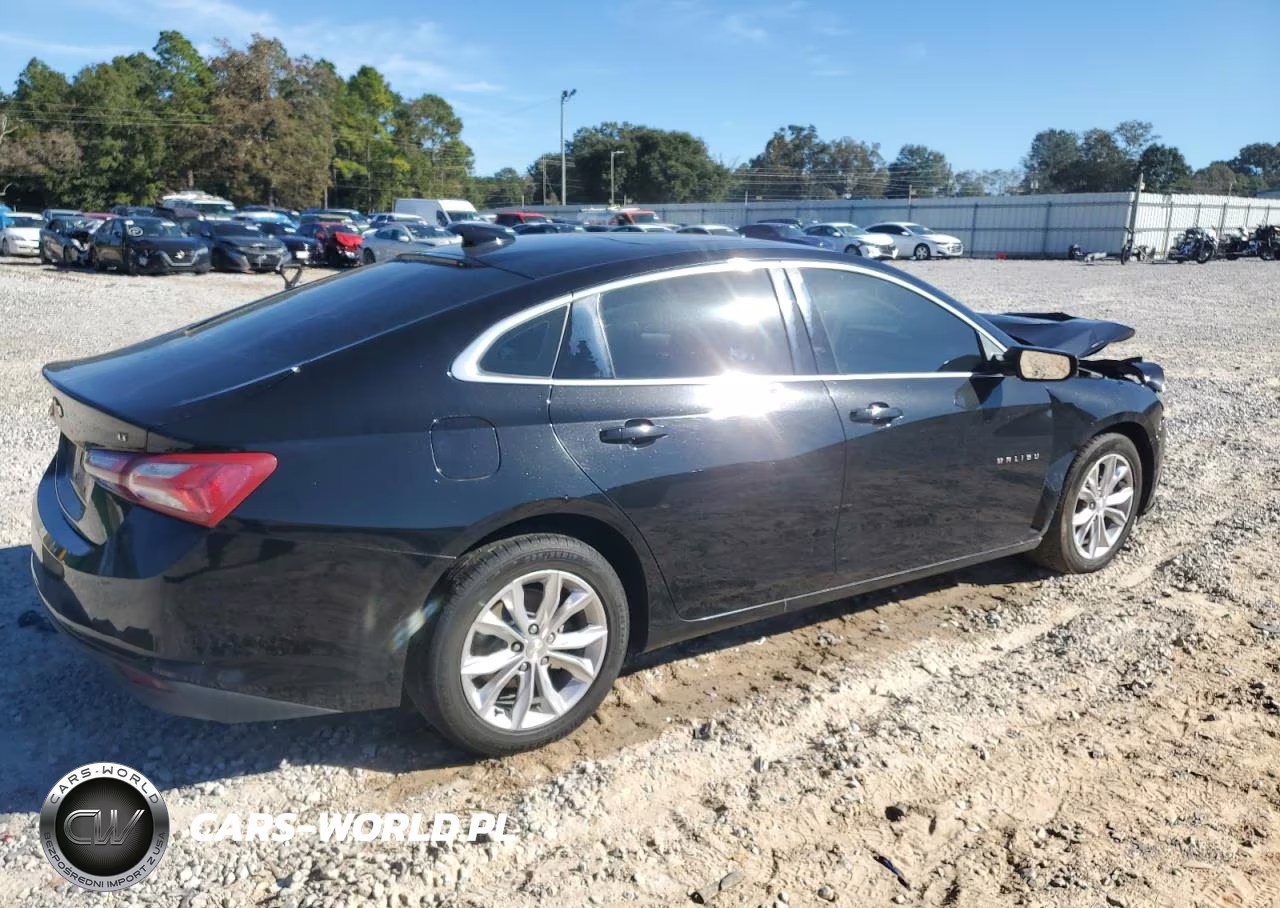 2019 Chevrolet Malibu Lt VIN:1G1ZD5ST0KF111334 - 3