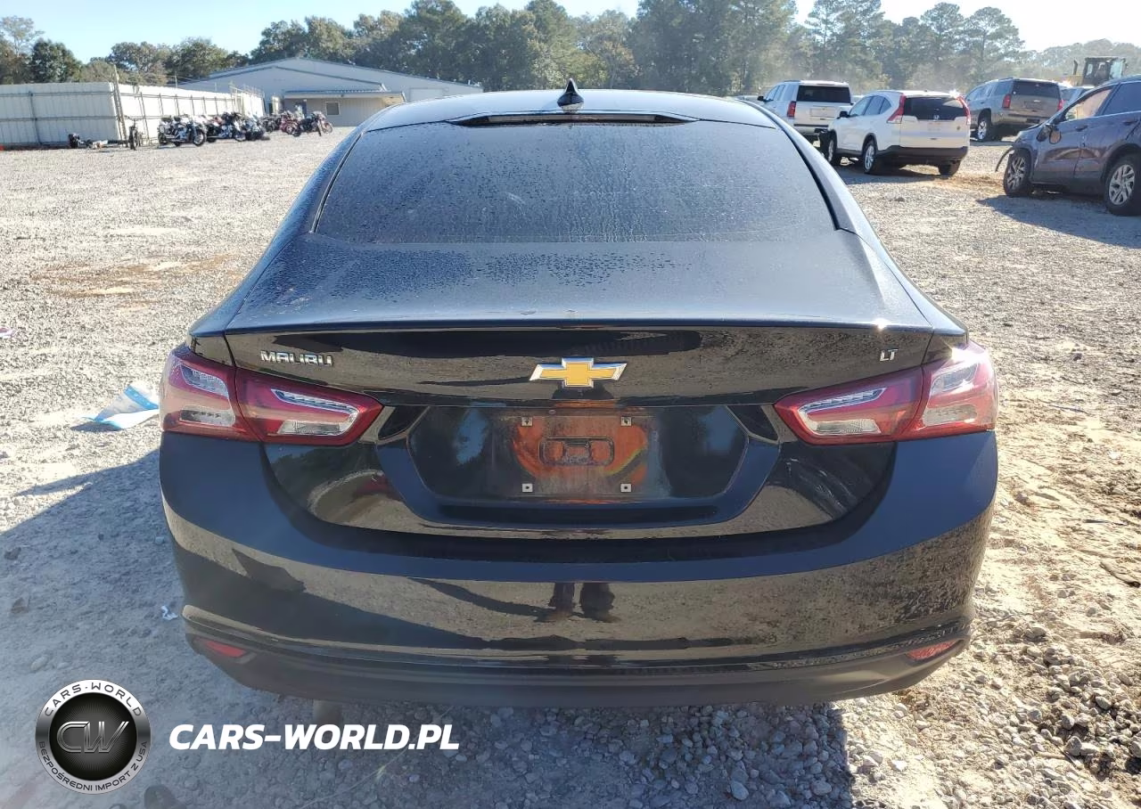 2019 Chevrolet Malibu Lt VIN:1G1ZD5ST0KF111334 - 6