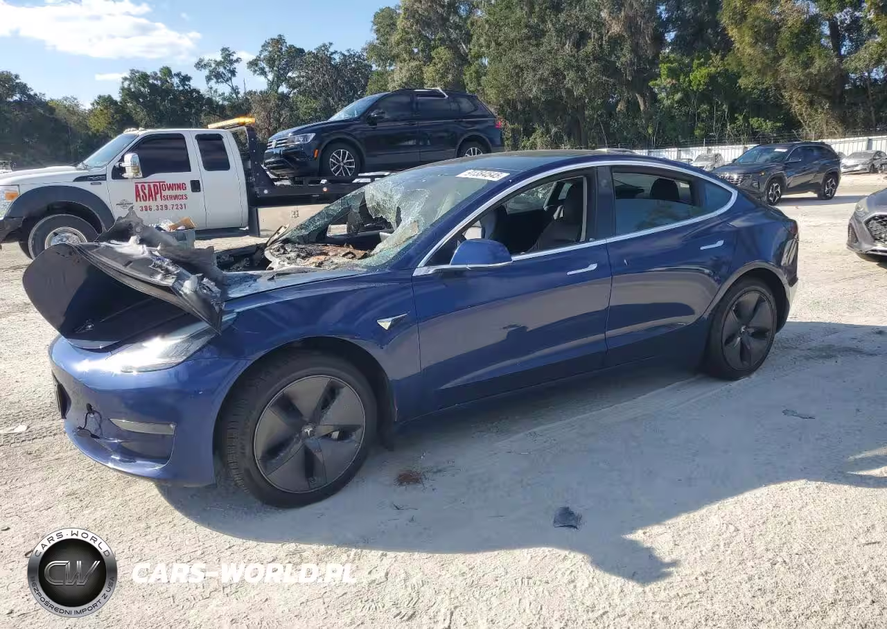 2019 Tesla Model 3