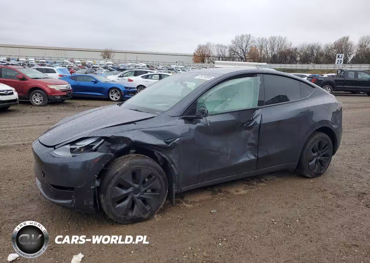 2025 Tesla Model Y